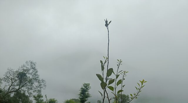 बारिस: दशोली ओर नन्दा नगर में सभी स्कूलों में छुट्टी के आदेश