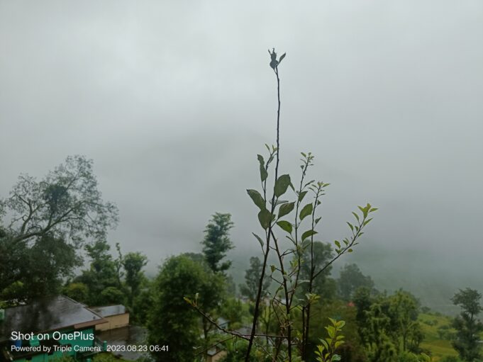 बारिस: दशोली ओर नन्दा नगर में सभी स्कूलों में छुट्टी के आदेश