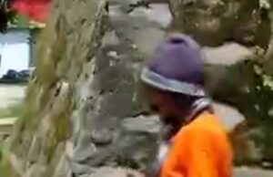 सांप के साथ खिलवाड़ करना शख्स को पड़ा भारी ,सांप के काटने से हुई मौत