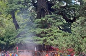 गढवाल और कुमायूं की सांझी सांस्कृतिक विरासत “वांण का लाटू”