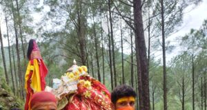 भक्तों से मिलने सिनाऊं गांव पहुंची मां राजराजेश्वरी की डोली