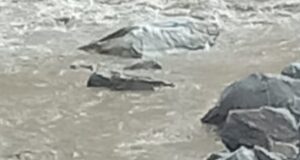 अलकनन्दा में बही महिला, पुलिस ने शुरू किया सर्च अभियान