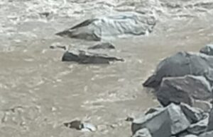 अलकनन्दा में बही महिला, पुलिस ने शुरू किया सर्च अभियान