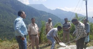 क्राप कटिंग प्रयोग के आधार पर होंगे जिले में औसत उपज और उत्पादन के आंकडे तैयार