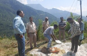 क्राप कटिंग प्रयोग के आधार पर होंगे जिले में औसत उपज और उत्पादन के आंकडे तैयार