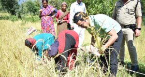 डीएम ने किया क्रॉप कटिंग प्रयोग का निरीक्षण, खेती की नई तकनीक के बारे में दी जानकारी