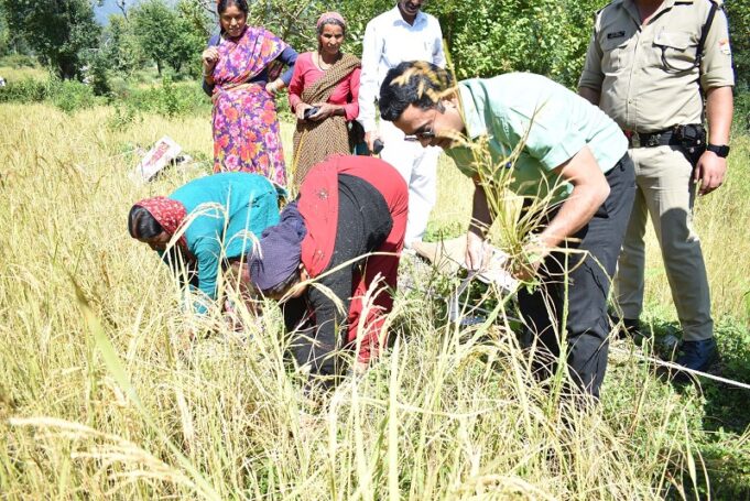 डीएम ने किया क्रॉप कटिंग प्रयोग का निरीक्षण, खेती की नई तकनीक के बारे में दी जानकारी