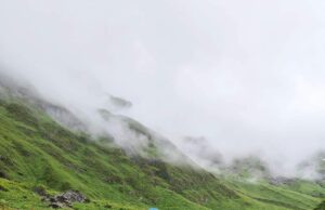 सैलानियों के लिए बंद हुई रंग बदलने वाली फूलों की घाटी