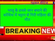 भालू के हमले से जान बचाने की कोशिश में चट्टान से गिरी महिला मौके पर मौत