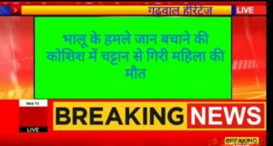 भालू के हमले से जान बचाने की कोशिश में चट्टान से गिरी महिला मौके पर मौत