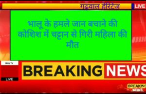 भालू के हमले से जान बचाने की कोशिश में चट्टान से गिरी महिला मौके पर मौत