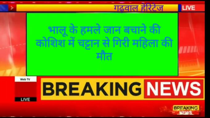 भालू के हमले से जान बचाने की कोशिश में चट्टान से गिरी महिला मौके पर मौत
