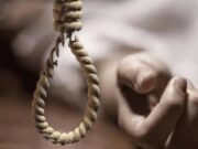 झाडियों में रस्सी से लटका मिला युवक शव