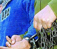 वन्य जीव मांस के साथ 3 गिरफ्तार, वन विभाग ने भेजा जेल