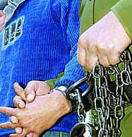 वन्य जीव मांस के साथ 3 गिरफ्तार, वन विभाग ने भेजा जेल