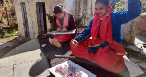 चमोली में महिलाओं की आर्थिकी का मजबूत जरिया बनने लगा भोजपत्र।