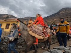 यहां डोली के बजाय घोड़े में क्यों विदा होती है दुल्हन