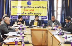 बैंकर्स ओर रेखीय विभाग आपस मे बनाएं सामांजस्य: सीडीओ