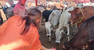 कैबिनेट मंत्री रेखा आर्या ने बनखंडी नाथ मंदिर में महादेव का पूजन और गौसेवा कर मनाई होली