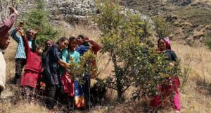 उर्गम घाटी के पिलखी गांव में ग्रामीणों ने गौरा देवी बवनीकरण 300 से अधिक पेड़ों पर बांधा रक्षा सूत्र