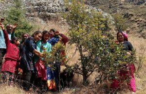 उर्गम घाटी के पिलखी गांव में ग्रामीणों ने गौरा देवी बवनीकरण 300 से अधिक पेड़ों पर बांधा रक्षा सूत्र