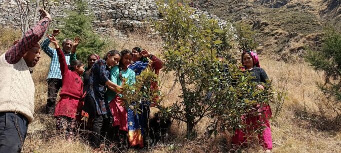 उर्गम घाटी के पिलखी गांव में ग्रामीणों ने गौरा देवी बवनीकरण 300 से अधिक पेड़ों पर बांधा रक्षा सूत्र