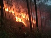 दावानल के धुवें के गुबार में डूबा वातावरण , स्वास्थ्य पर पड रहा प्रतिकूल प्रभाव