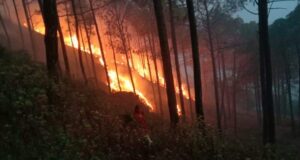 ग्रामीणों का सहयोग जंगलों की आग पर काबू पाने में होता है कारगर सिद्ध