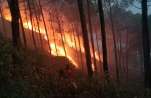 दावानल के धुवें के गुबार में डूबा वातावरण , स्वास्थ्य पर पड रहा प्रतिकूल प्रभाव
