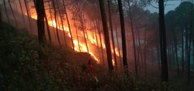 दावानल के धुवें के गुबार में डूबा वातावरण , स्वास्थ्य पर पड रहा प्रतिकूल प्रभाव