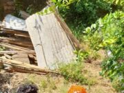 नवदंपति ने रोपे फलदार मैती पौधा