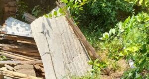 नवदंपति ने रोपे फलदार मैती पौधा