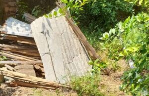 नवदंपति ने रोपे फलदार मैती पौधा