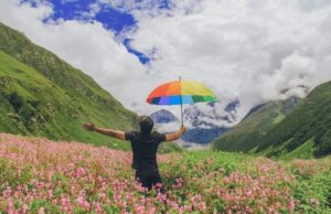 नंदन- कानन!– 1 जून से सैलानियों के खुलेगी रंग बदलने वाली फूलों की घाटी,