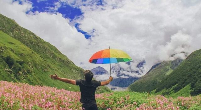 नंदन- कानन!– 1 जून से सैलानियों के खुलेगी रंग बदलने वाली फूलों की घाटी,