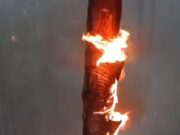 ठेली गांव के युवाओं ने जंगल की आग बुझाकर की मिशाल पेश