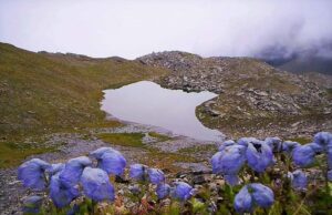 सप्तकुंड की सुंदरता देख अभिभूत हुये पर्यटक देश दुनिया की नजरों से दूर है हिमालय में मौजूद सप्तकुंड