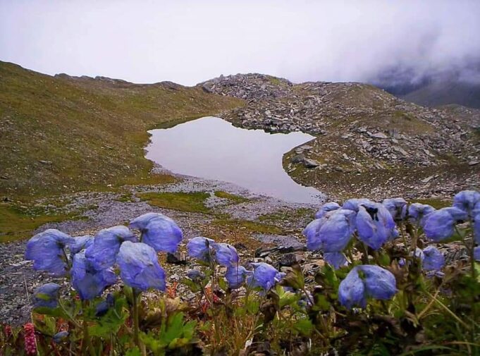 सप्तकुंड की सुंदरता देख अभिभूत हुये पर्यटक देश दुनिया की नजरों से दूर है हिमालय में मौजूद सप्तकुंड
