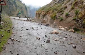 यहां चट्टान से गिरे पत्थर, दर्जनों बकरियों की हुई मौत