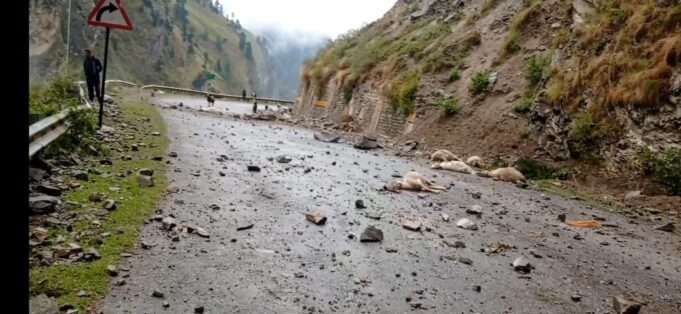 यहां चट्टान से गिरे पत्थर, दर्जनों बकरियों की हुई मौत