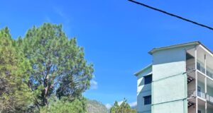 सांस्कृतिक कार्यक्रमो के साथ मनाया हरेला,