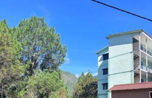 सांस्कृतिक कार्यक्रमो के साथ मनाया हरेला,