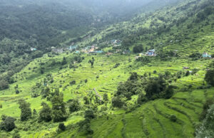 4और 5 अगस्त को गोपेश्वर केदारनाथ मार्ग पर स्थित इस गांव की सीमा में आवाजाही रहेगी बंद