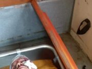 भालू के हमले में व्यक्ति घायल, क्षेत्र में दहशत