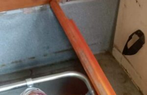 भालू के हमले में व्यक्ति घायल, क्षेत्र में दहशत