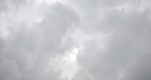 केदारनाथ मार्ग पर घोड़े खच्चरों का संचालन शुरू