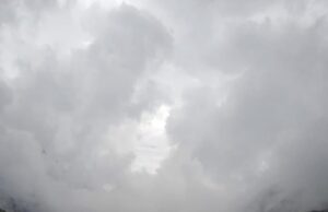 केदारनाथ मार्ग पर घोड़े खच्चरों का संचालन शुरू