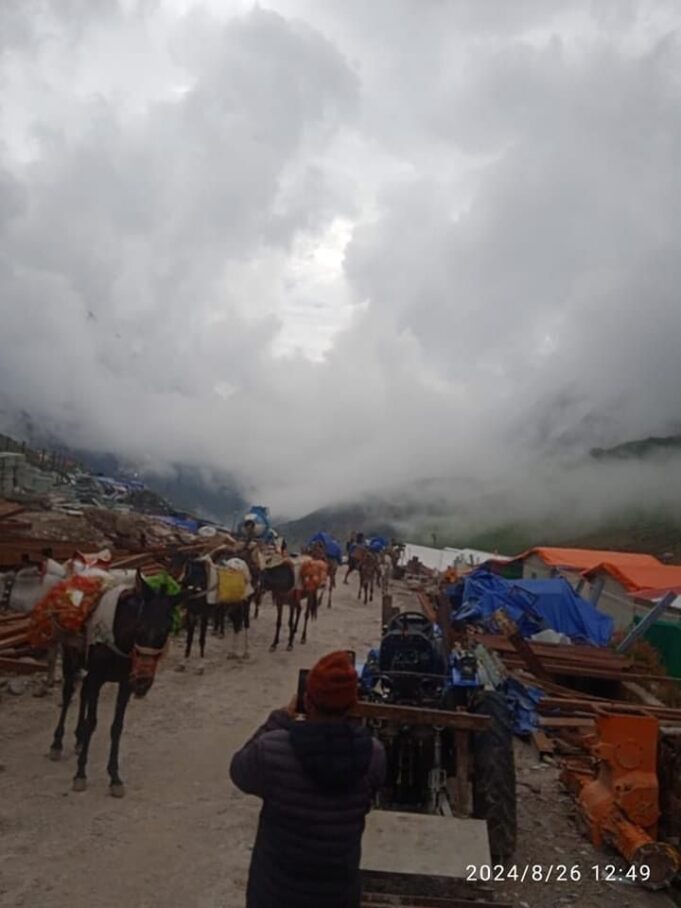 केदारनाथ मार्ग पर घोड़े खच्चरों का संचालन शुरू
