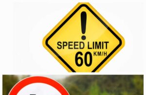 ऋषिकेश से चमोली तक वाहनों की गति सीमा होगी तय, 60 किलोमीटर प्रति घण्टा रहेगी अधिकतम रफ्तार