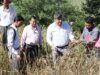 गंगोलगांव में जिलाधिकारी ने किया फसल कटाई प्रयोग का निरीक्षण